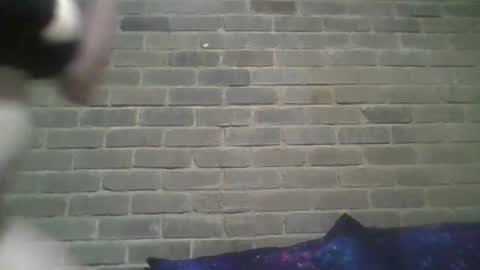 Chaterlain online show from 13, 2, 2025