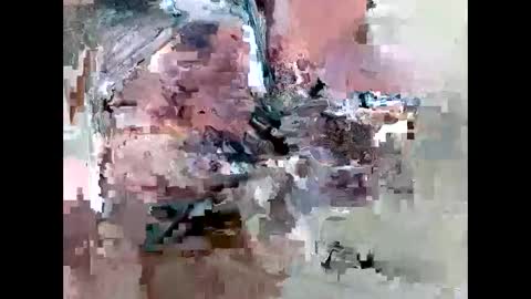 bainescpl2024 online show from 10, 2, 2026