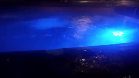 bakerbeachismygig online show from 9, 12, 2024