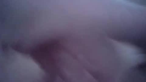 sexxycat online show from 7, 2, 2026