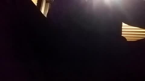 Snapshot of baobabtree8 chatting on 24, 12, 2024 baobabtree8 online show from 24, 12, 2024