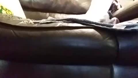 Snapshot of baobabtree8 chatting on 9, 1, 2025 baobabtree8 online show from 9, 1, 2025