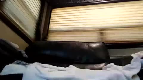 Snapshot of baobabtree8 chatting on 26, 2, 2025 baobabtree8 online show from 26, 2, 2025