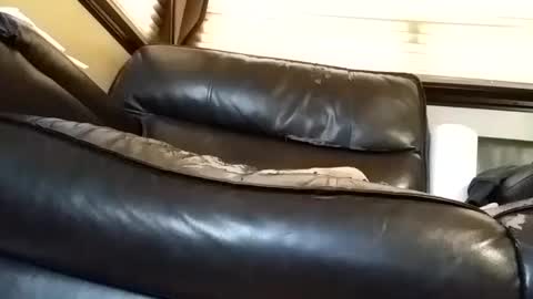 Snapshot of baobabtree8 chatting on 6, 3, 2025 baobabtree8 online show from 6, 3, 2025