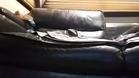 Snapshot of baobabtree8 chatting on 26, 9, 2025 baobabtree8 online show from 26, 9, 2025