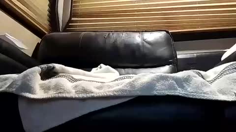 Snapshot of baobabtree8 chatting on 4, 10, 2025 baobabtree8 online show from 4, 10, 2025