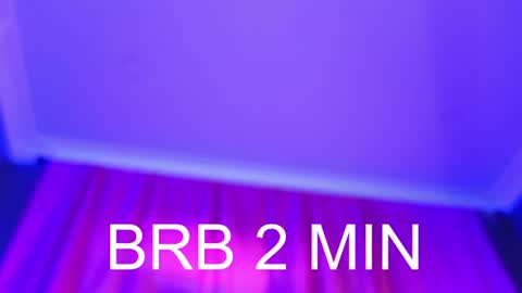 Snapshot of barbarafinch chatting on 20, 7, 2026 Barbara online show from 20, 7, 2026