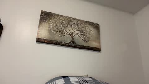 chicka online show from 14, 2, 2025