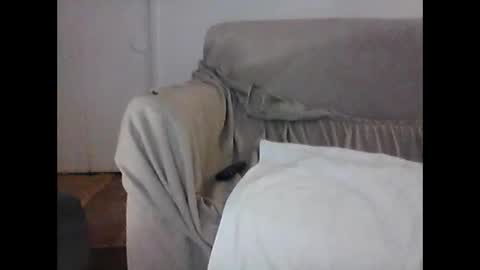 Snapshot of barrysand chatting on 6, 2, 2025 barrysand online show from 6, 2, 2025