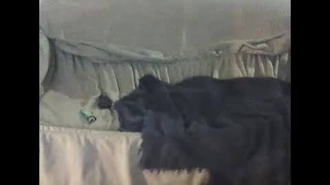 Snapshot of barrysand chatting on 23, 9, 2025 barrysand online show from 23, 9, 2025