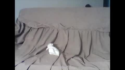 Snapshot of barrysand chatting on 11, 11, 2025 barrysand online show from 11, 11, 2025