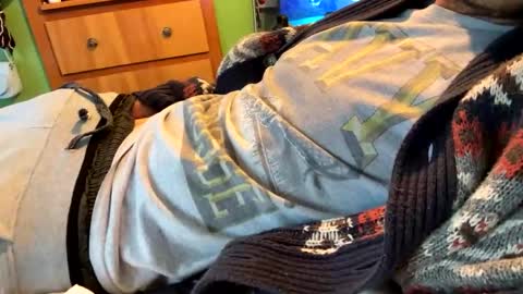 Ball Player Next Door  online show from 2, 11, 2025