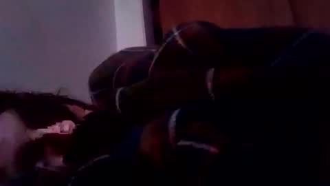 bathingcat online show from 19, 1, 2025