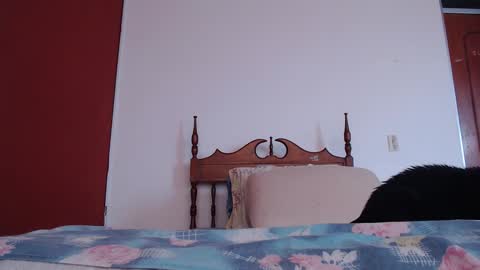 Snapshot of bayonette_black chatting on 27, 9, 2025 bayonette_black online show from 27, 9, 2025