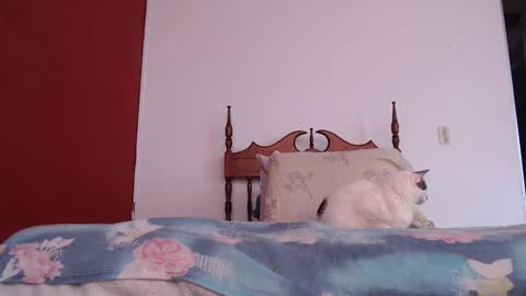 Snapshot of bayonette_black chatting on 4, 10, 2025 bayonette_black online show from 4, 10, 2025