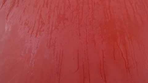 bayonette_black online show from 30, 11, 2025