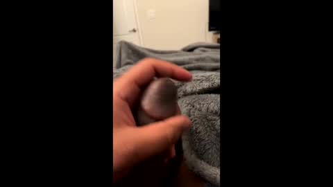 bbc4_fun online show from 23, 2, 2025