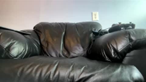 bbcnews94 online show from 16, 4, 2026