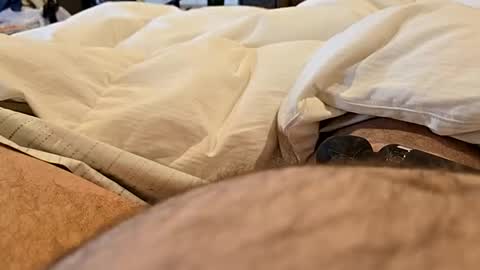 bbjj1970 online show from 29, 11, 2025