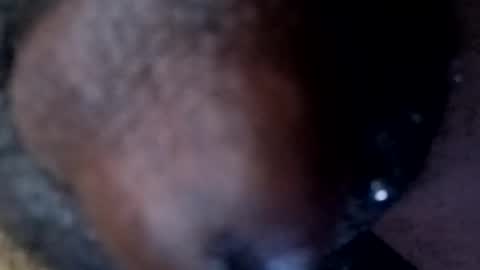 bcfalcon69 online show from 30, 4, 2026