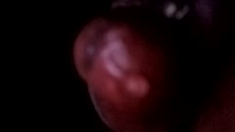 Snapshot of bcfalcon69 chatting on 14, 6, 2026 bcfalcon69 online show from 14, 6, 2026