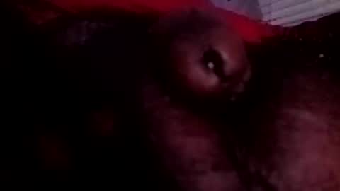 Snapshot of bcfalcon69 chatting on 25, 6, 2026 bcfalcon69 online show from 25, 6, 2026