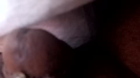 Snapshot of bcfalcon69 chatting on 2, 7, 2026 bcfalcon69 online show from 2, 7, 2026