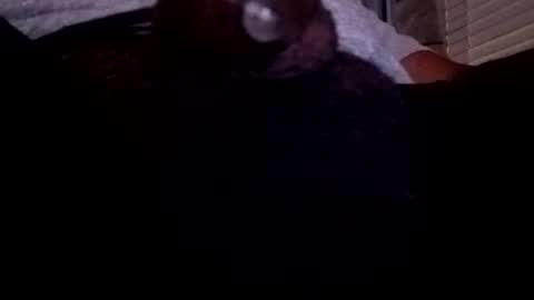 Snapshot of bcfalcon69 chatting on 23, 7, 2026 bcfalcon69 online show from 23, 7, 2026