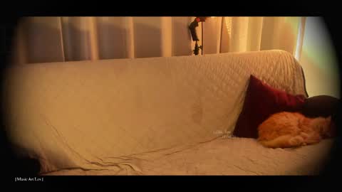 Call me Bells  Next Stream on Wednesday    Feb 26  online show from 18, 4, 2026