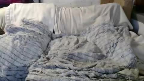 BeachyMILF online show from 18, 12, 2025