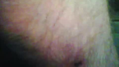 beanwright26 online show from 15, 11, 2025