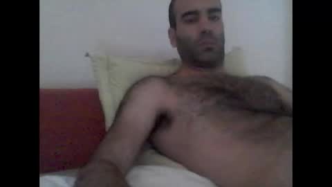 Snapshot of bear14250949 chatting on 7, 11, 2025 bear14250949 online show from 7, 11, 2025