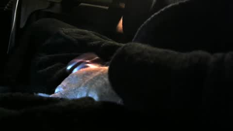 bear4146 online show from 8, 12, 2024