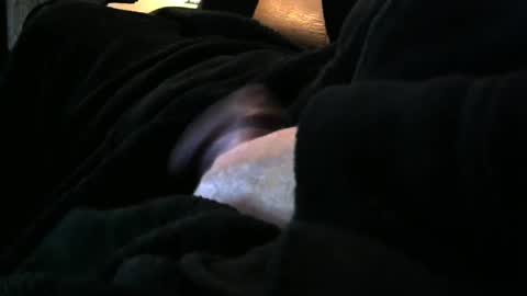 bear4146 online show from 30, 12, 2024