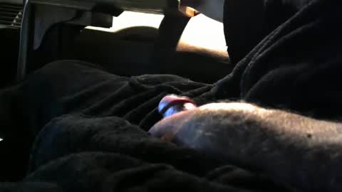 bear4146 online show from 4, 1, 2025