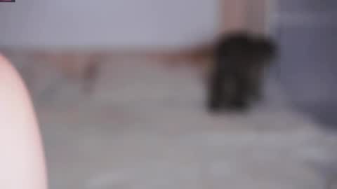 Snapshot of beatris_mils chatting on 7, 11, 2025 Beatrice online show from 7, 11, 2025