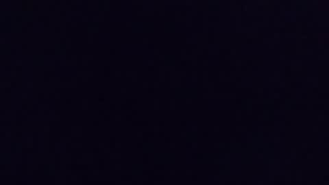 bedmaster_d online show from 3, 3, 2026