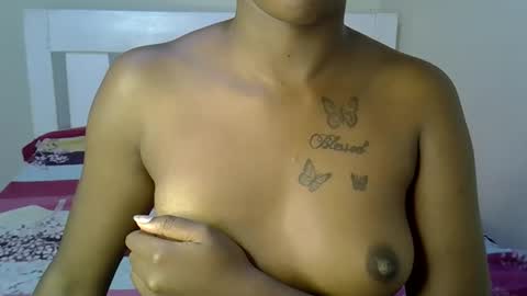 bedmaster_d online show from 7, 3, 2026