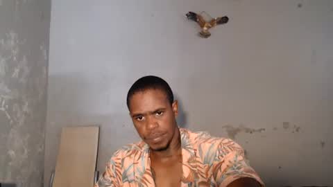 Frank online show from 4, 8, 2026
