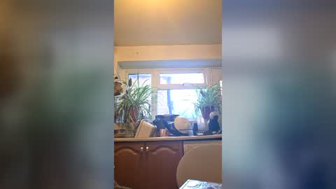 Snapshot of beefyting chatting on 24, 6, 2026 zeef online show from 24, 6, 2026