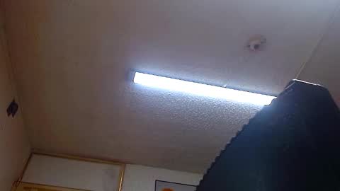 Snapshot of bella_lady_1_ chatting on 31, 12, 2024 lady online show from 31, 12, 2024