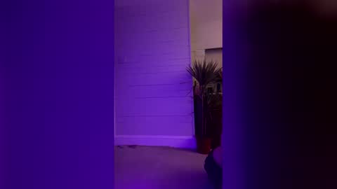 bellaxlauren online show from 11, 2, 2026