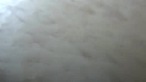 Jack online show from 13, 4, 2026