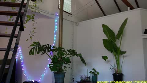 BELLE   online show from 18, 1, 2025