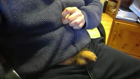 jaimetout online show from 21, 4, 2026