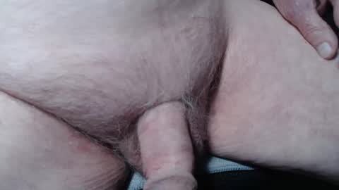 bender41 online show from 8, 11, 2025