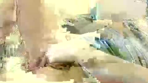 Snapshot of benutzmich0800 chatting on 8, 12, 2024 Benutzmich0800 online show from 8, 12, 2024