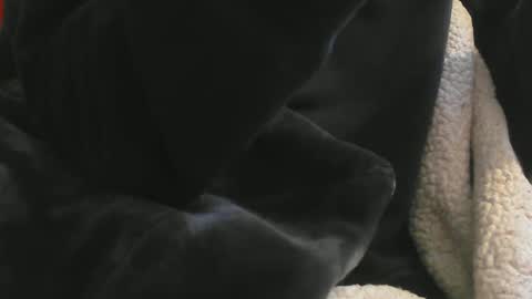 Snapshot of benx12123 chatting on 16, 2, 2025 benx12123 online show from 16, 2, 2025