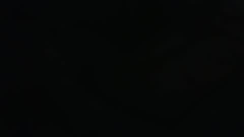 . online show from 15, 3, 2026