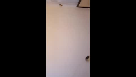 bgiamba21 online show from 4, 4, 2026